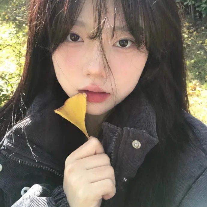 鹬 海报